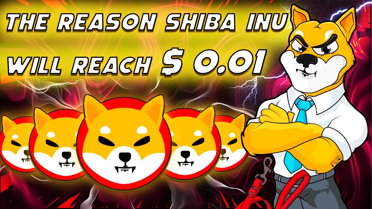 SHIBA ARMY should definitely watch this!!😱| how high can shib go?🤔