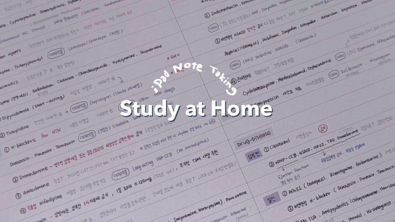 vlog | 퇴근 후 아이패드로 공부해요 | ipad study life