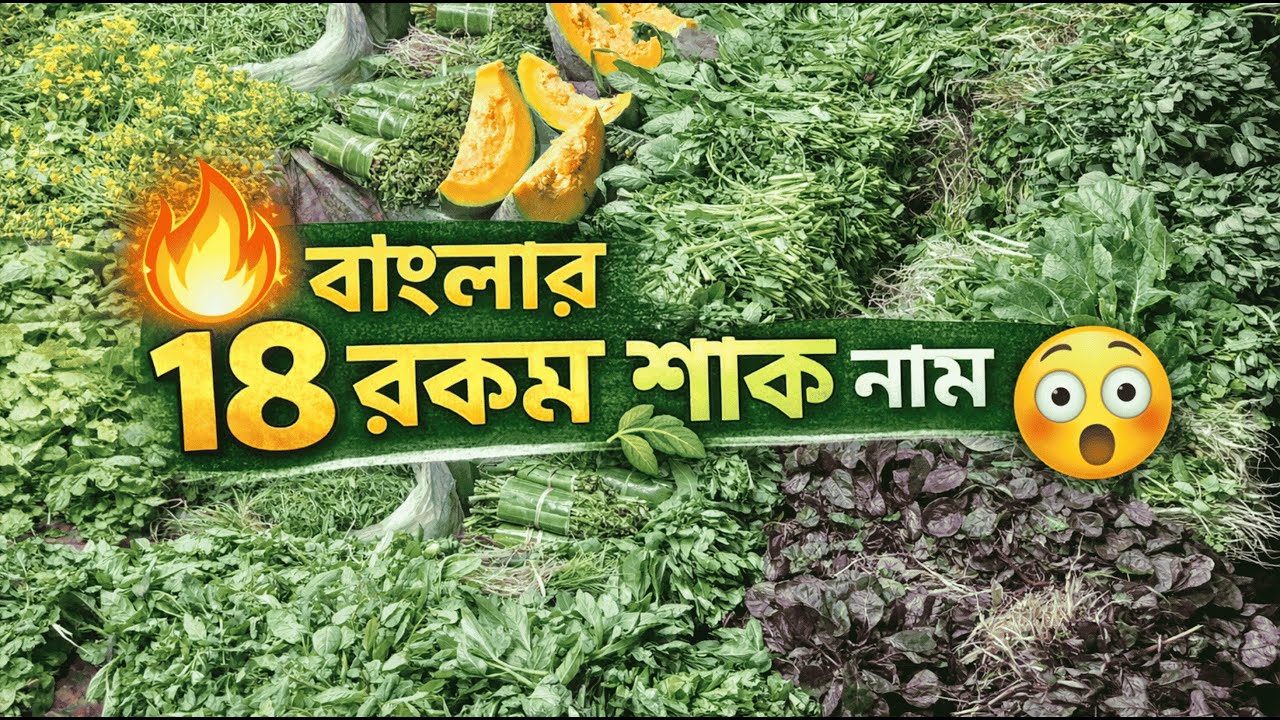 বাংলার ১৮ রকম শাক 🌿 নাম, উপকারিতা ও রান্নার উপায় | Bengali Leafy Vegetables Guide