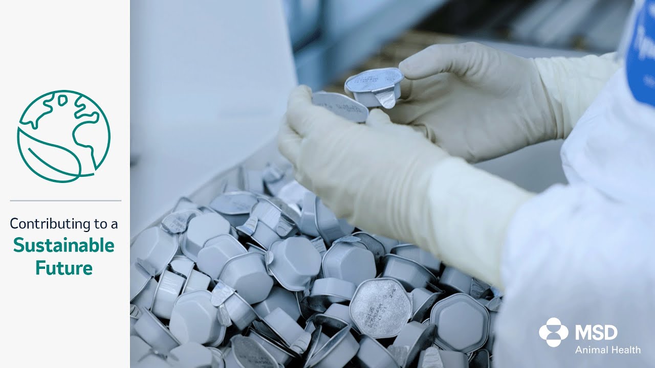 Revolutionizing Vaccine Packaging through Sphereon