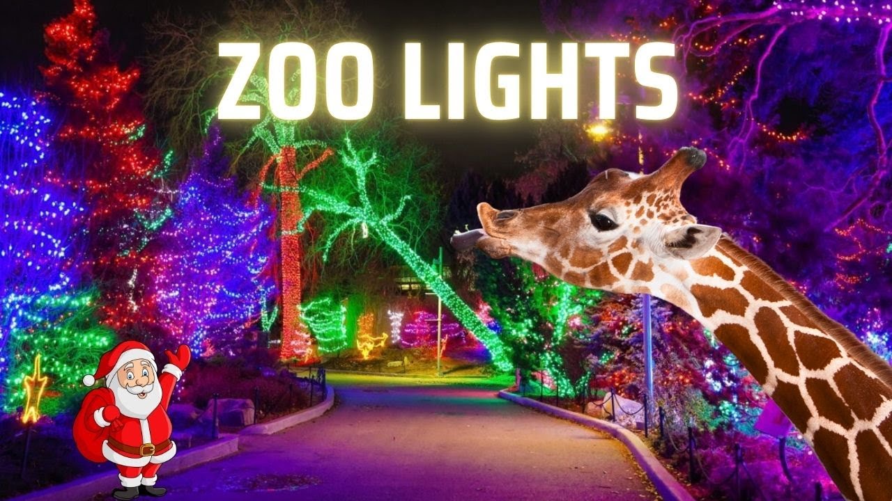 Calgary Zoo Lights 2025 Full Walking Tour 4K