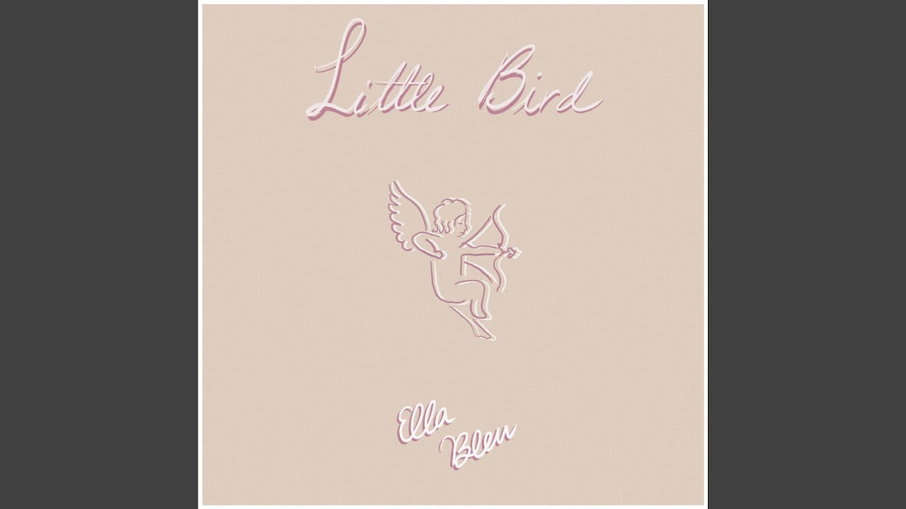 Little bird