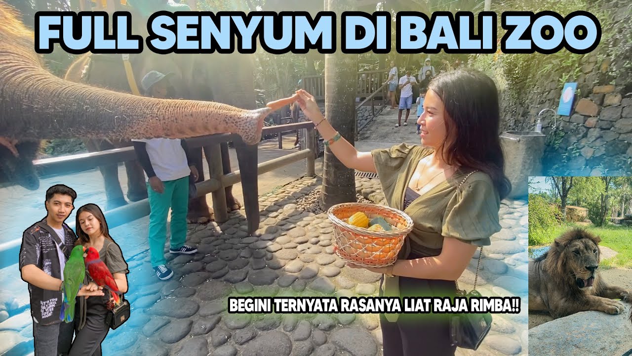 FULL SENYUM DI BALIZOO BARENG IRMA || PERTAMA KALI LIAT RAJA RIMBA!!