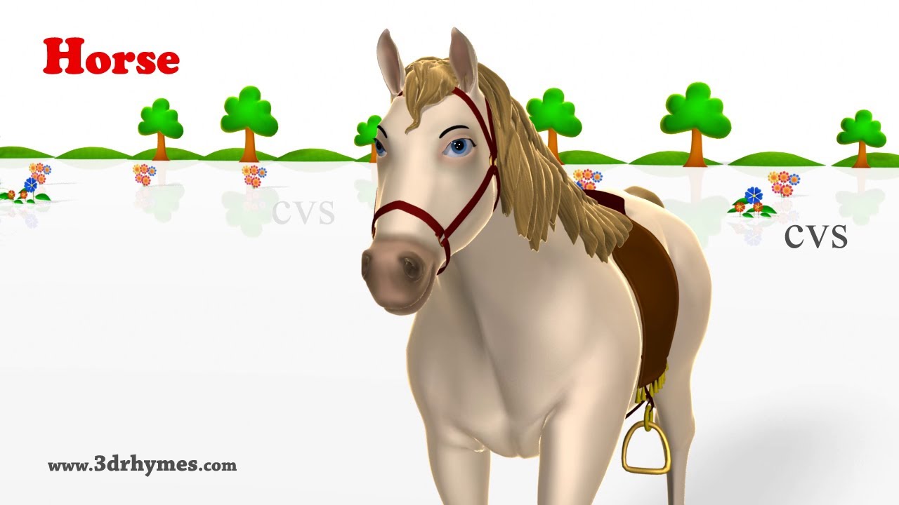 Learn Animals Song  - 3D Animation Animals Video for Kids