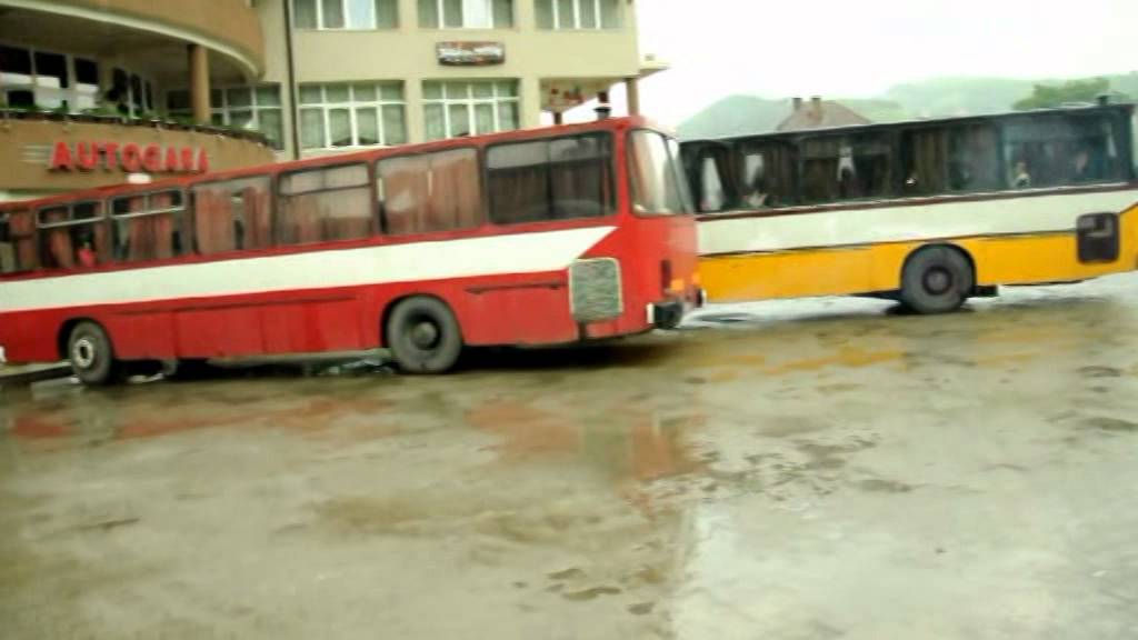 Autobuze Campeni 2012