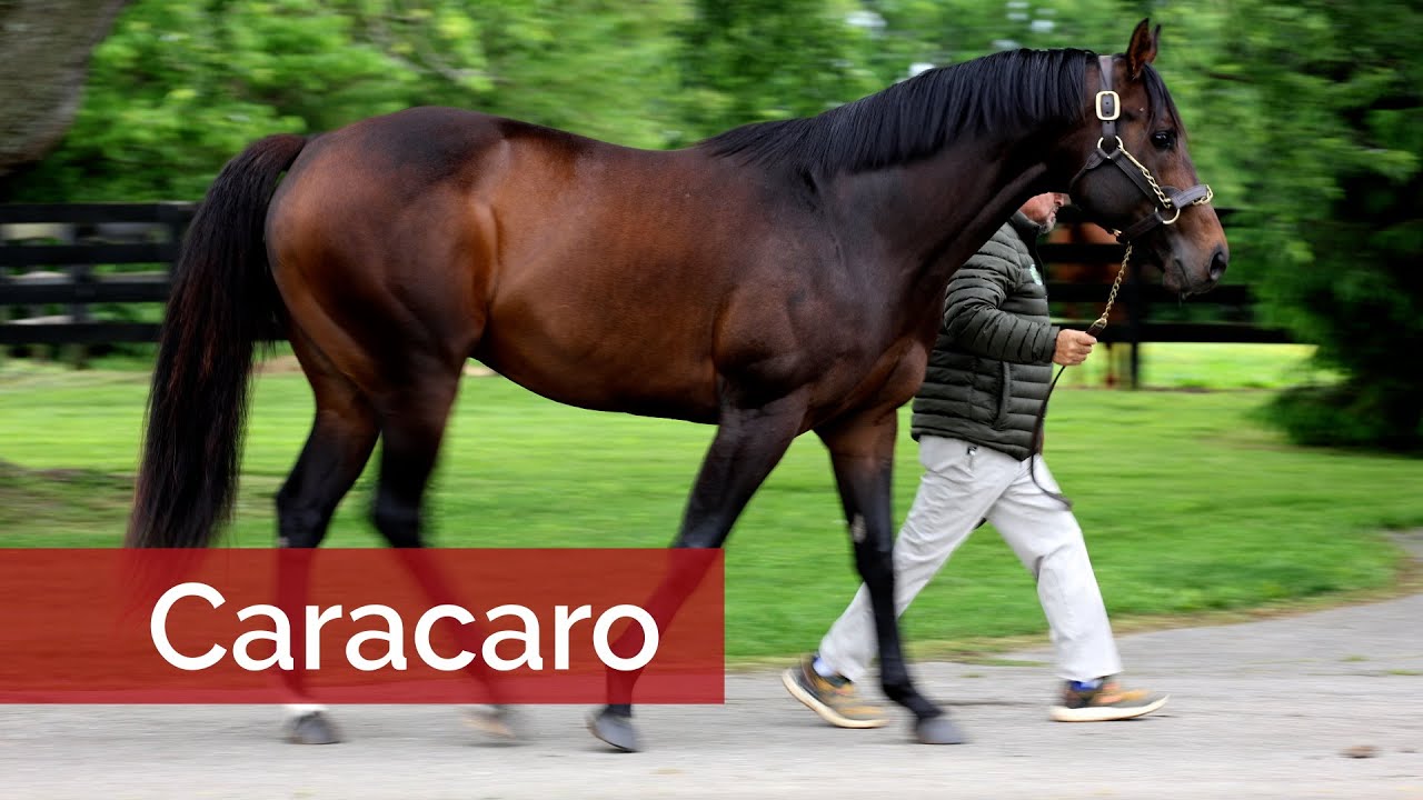 Caracaro Making a Splash with First Juveniles