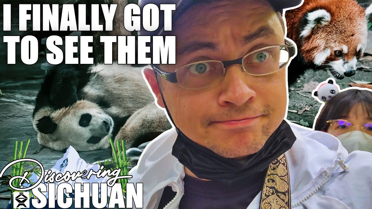 I see PANDAS for the first time at the Chengdu Research Base of Giant Panda Breeding 成都大熊猫繁育研究基地