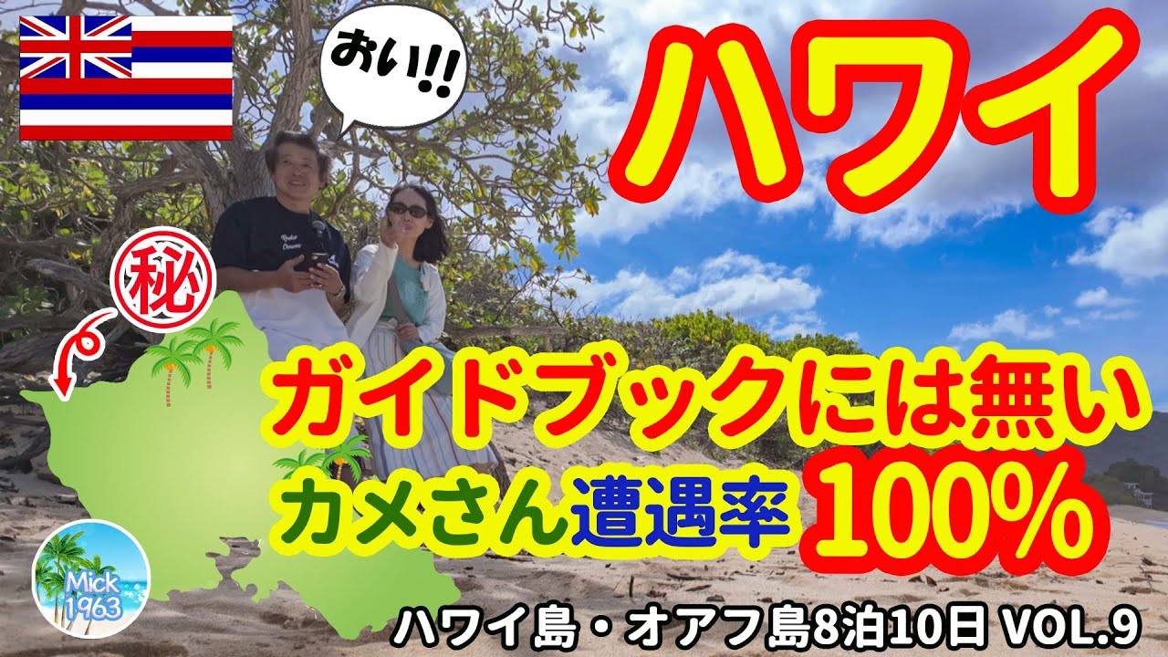🇺🇲【ハワイ旅行】だれも知らない・ガイドブックに無い場所はカメさん遭遇率100%だった。
