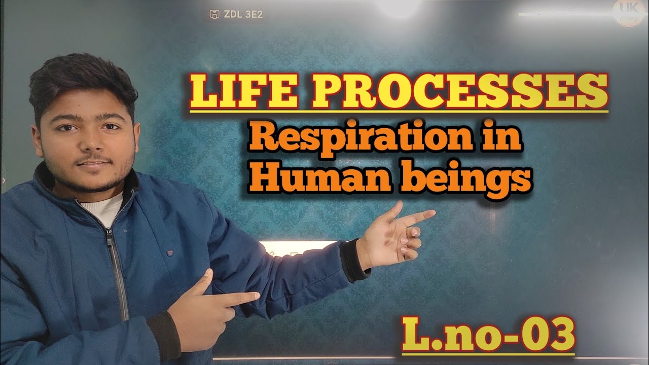 LIFE PROCESSES respiration life process class 10 biology