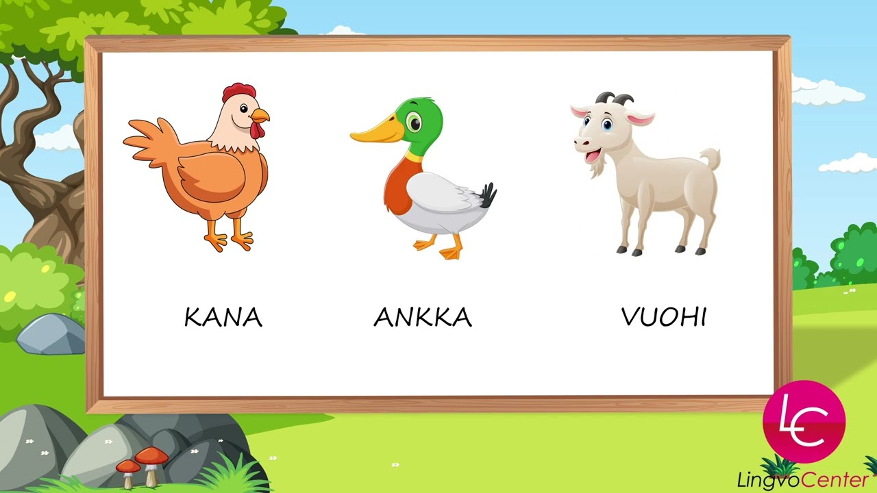 Oppitunti №13: Kotiel&auml;imet | Домашние животные | Home animals