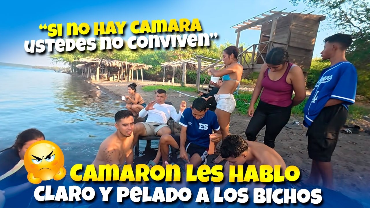 Camaron le dijo la verdad a los bichos|  La plaga solo es unida cuando esta la cámara encendida 😬😳