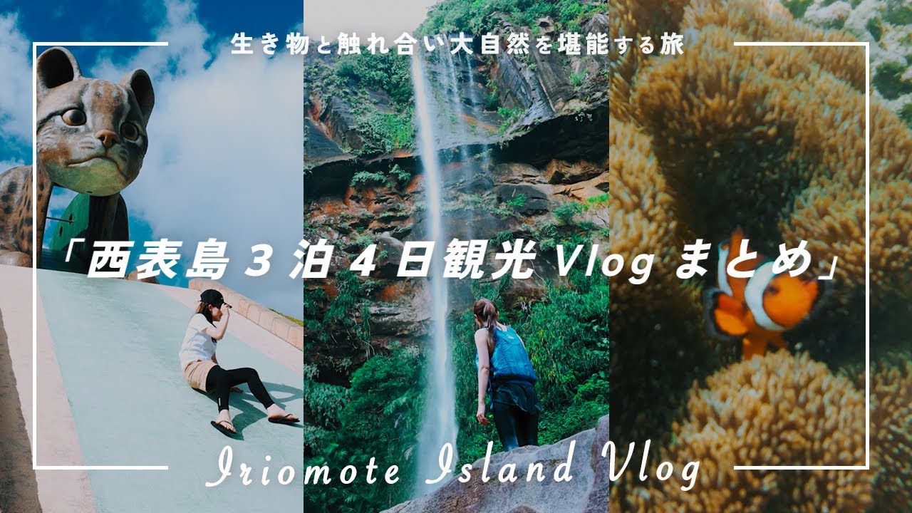 【まとめ】西表島3泊4日Vlog | 生き物と触れ合い大自然を堪能する旅