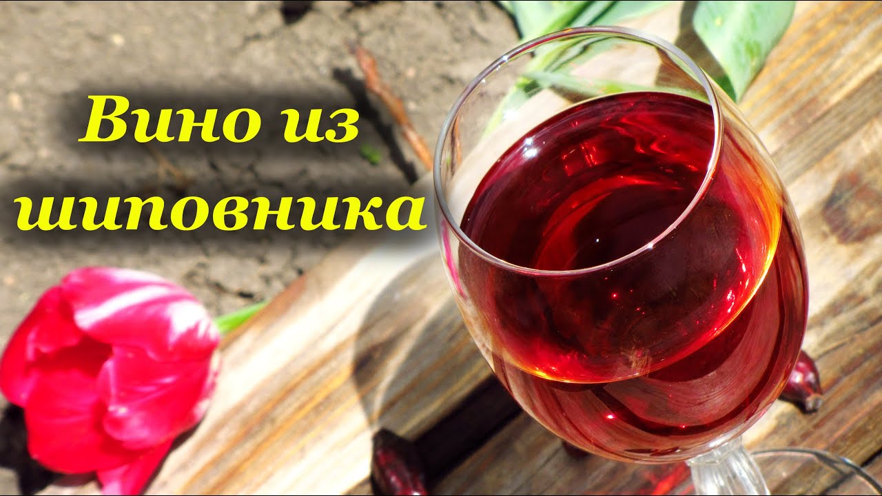 Вино из шиповника, процесс приготовления
