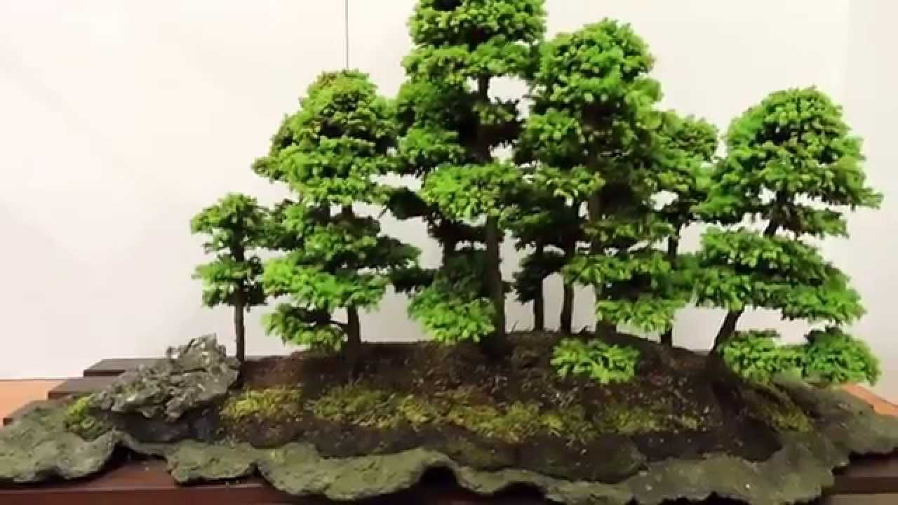 World of Bonsai 2015