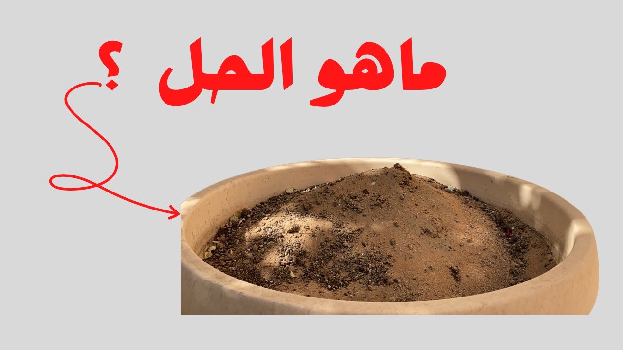 إعداد تربة الأحواض الزراعية القديمة وتجهيزها للموسم الزراعي الجديد