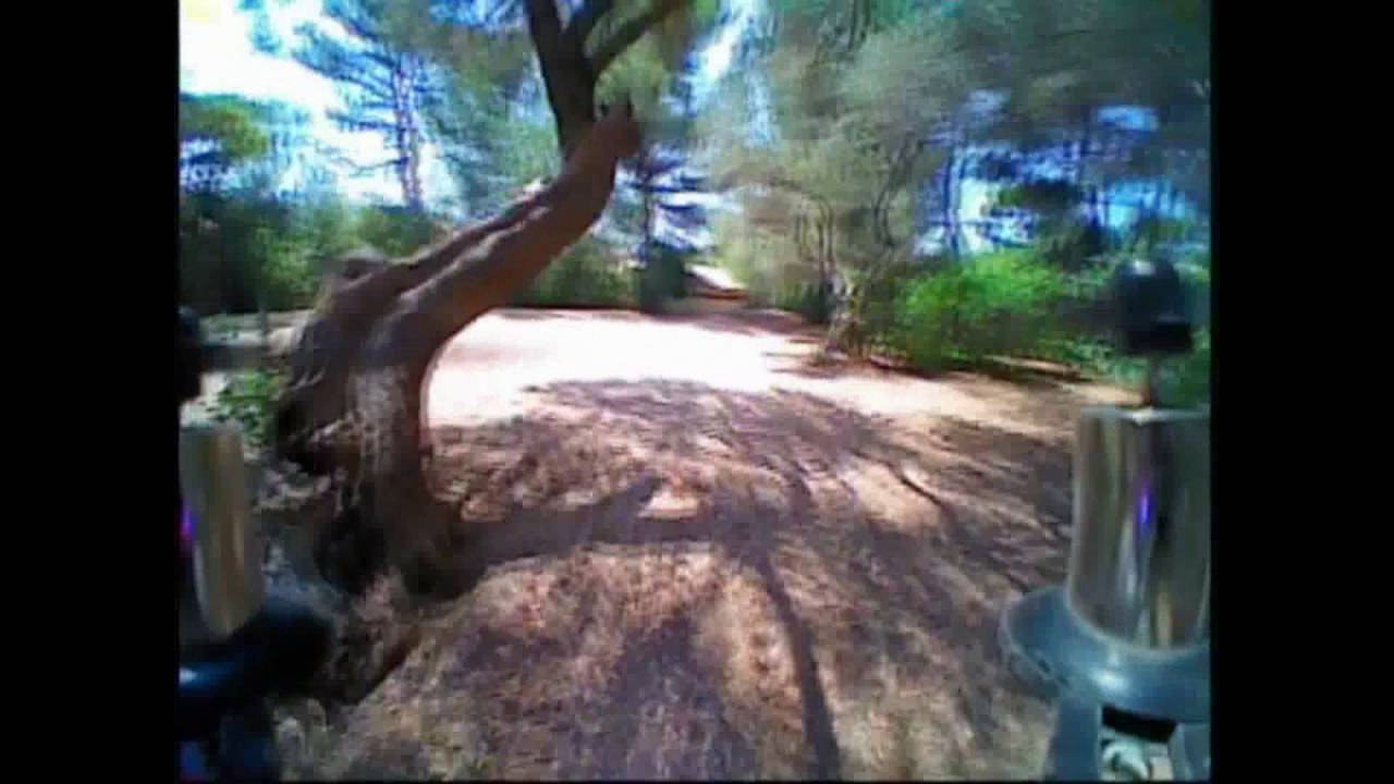 Eachine QX90 trees session  (Courtesy Banggood)