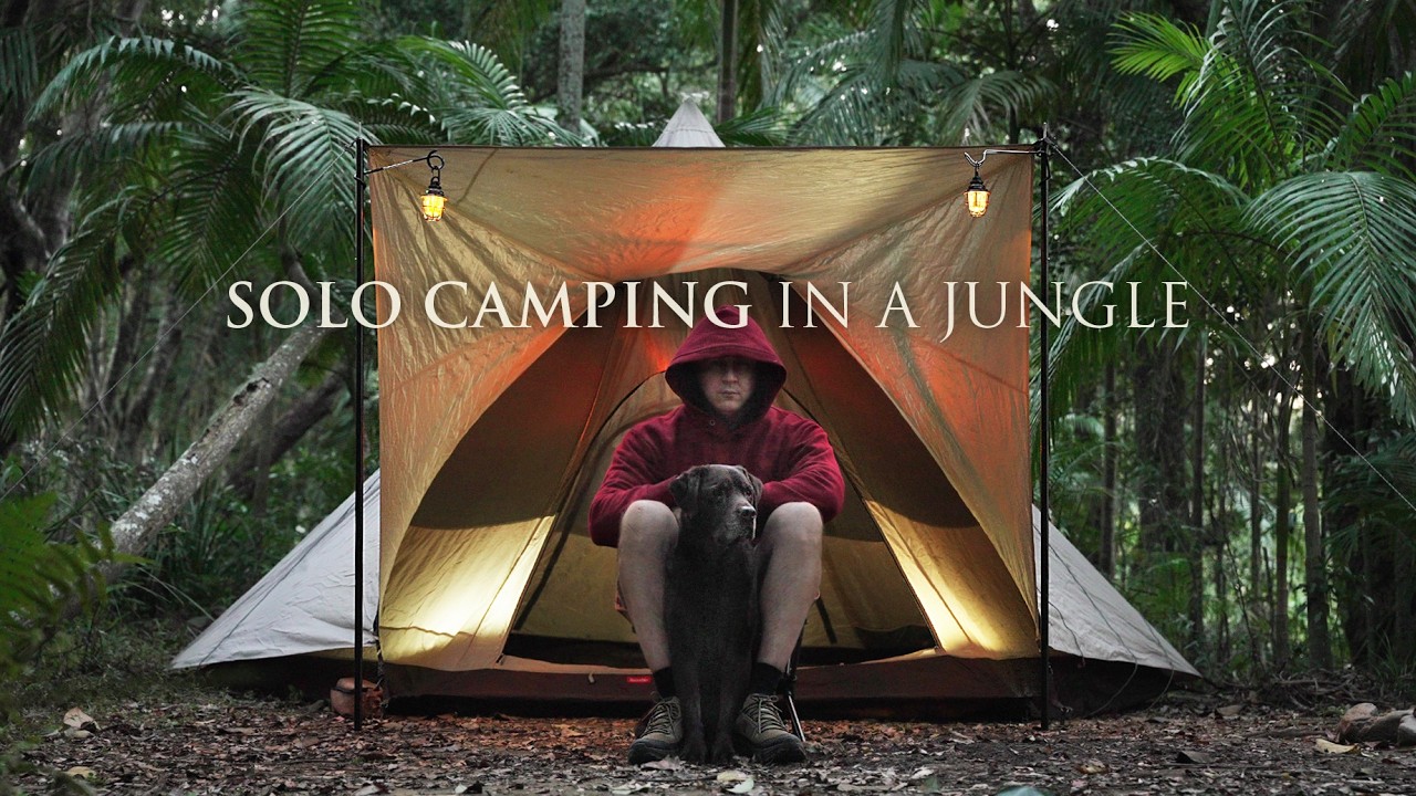 SOLO Camping in a Rain Forest with my Dog [ Cozy Tipi Tent shelter in an Australian Jungle, ASMR ]