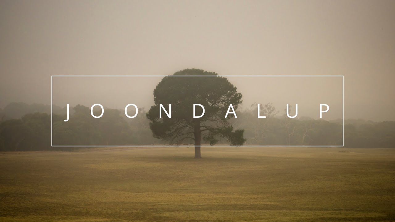 Landscape Photography - Finding Interesting Compositions in Morning Fog
