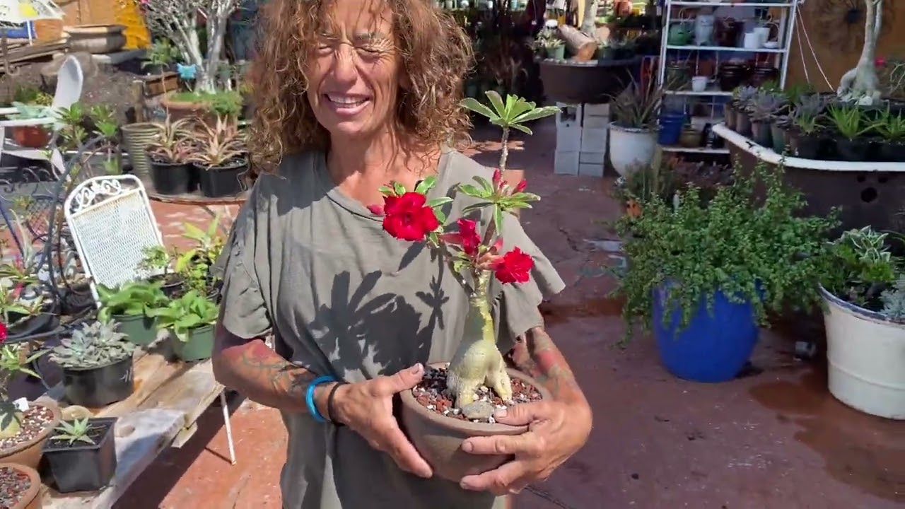 Hello everyone I am back with my plants March 30, 2023