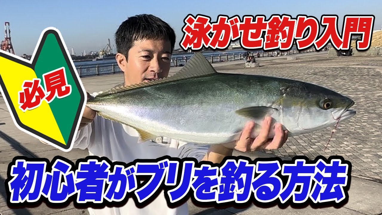 【泳がせ釣り入門】初心者でもブリやF5太刀魚が釣れる夢の釣法“エレベーター泳がせ釣り”を徹底解説