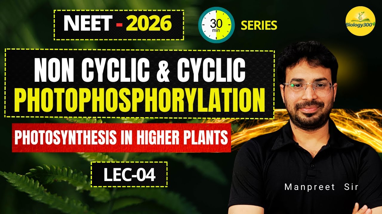 Photosynthesis Lec- 4 | Z-Scheme, Cyclic & Non-Cyclic Photophosphorylation | NEET Biology