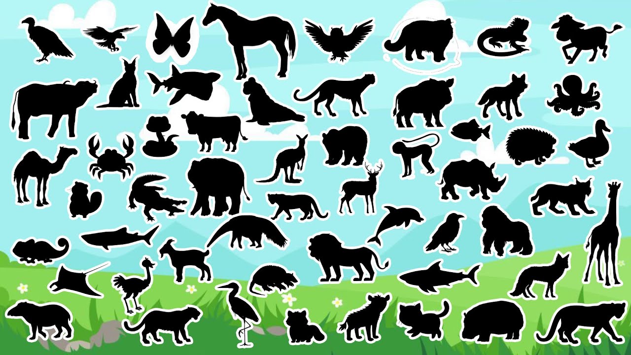 🌟👀 Qual É a Sombra? Descubra os 55 Animais Misteriosos! 🦊🐧