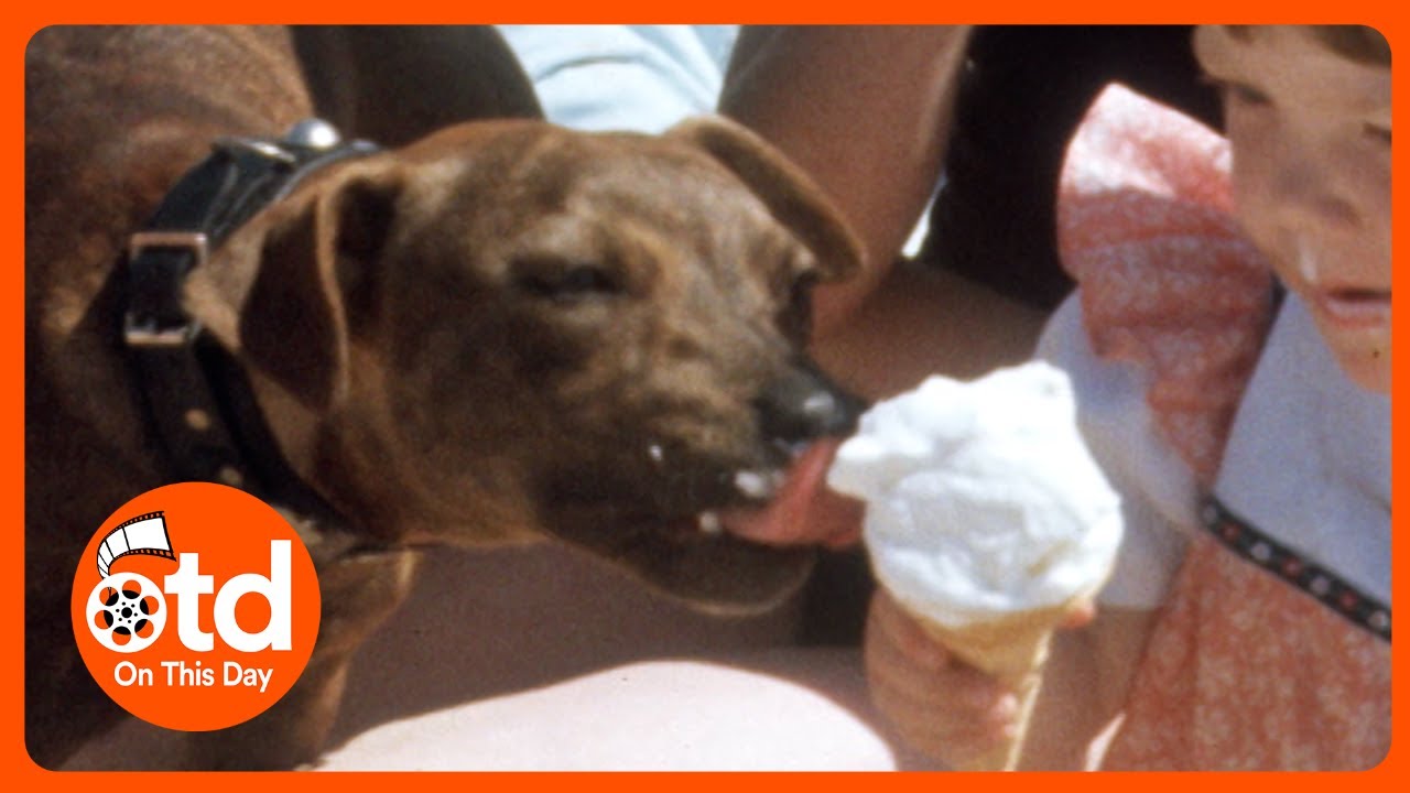 1976: Britain’s Historic Heatwave