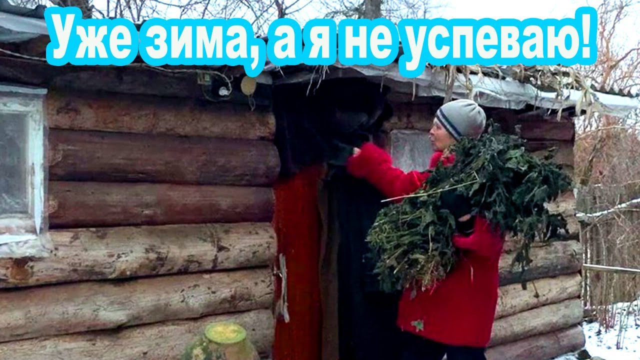 МОЯ НЕПРОСТАЯ ЖИЗНЬ В ИСЧЕЗАЮЩЕЙ ДЕРЕВНЕ У ЛЕСА. ЗИМА, а дел не в проворот. Утепляю сарай свиньям.