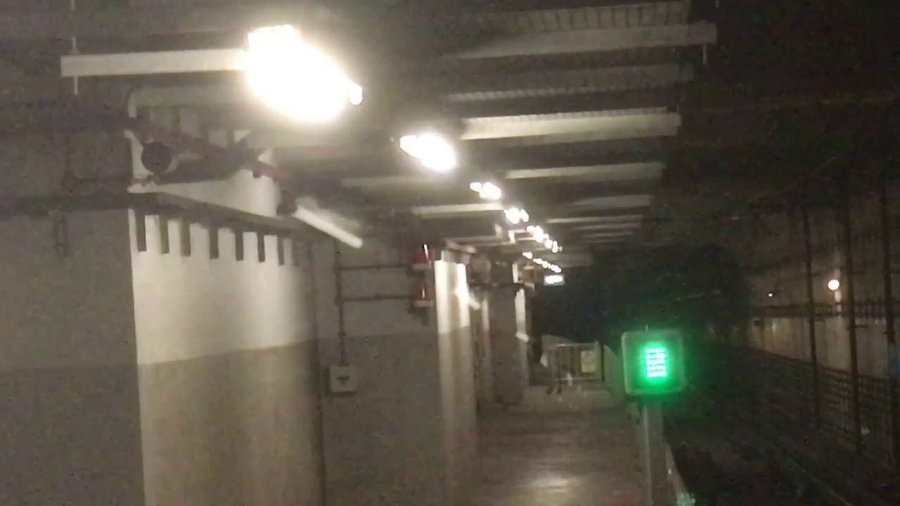 SBS Transit NEL Alstom Metropolis C751A [7037/7038] arriving Punggol Platform B (➡️ HarbourFront)