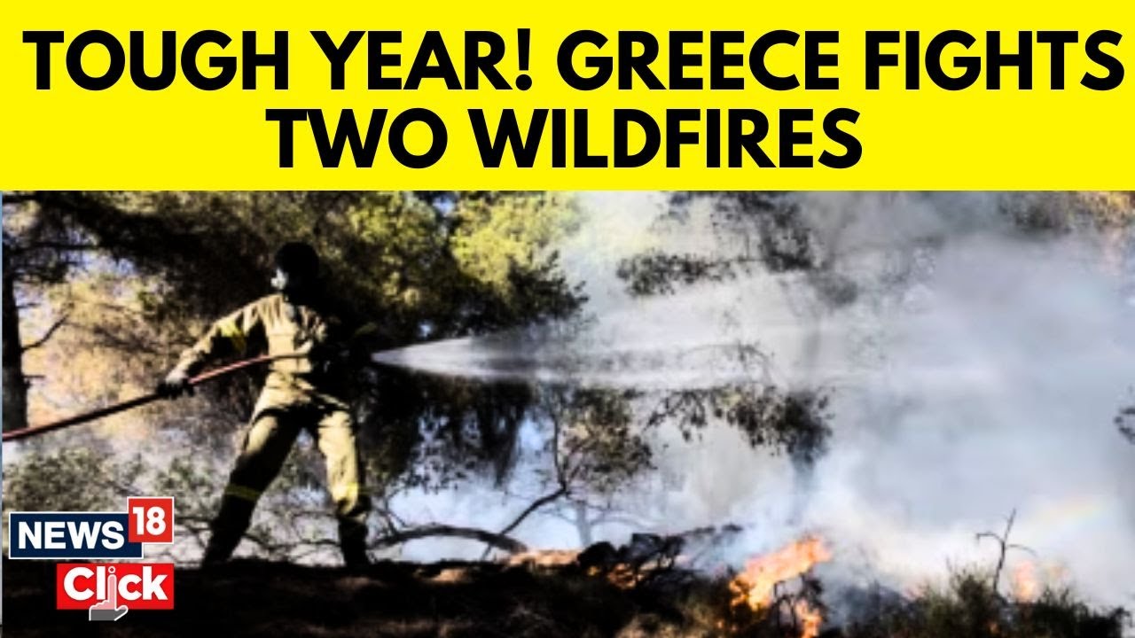 Greece Fights Dozens Of Wildfires In 'Most Difficult Day Of Year' | Greece Wildfire Updates | N18G