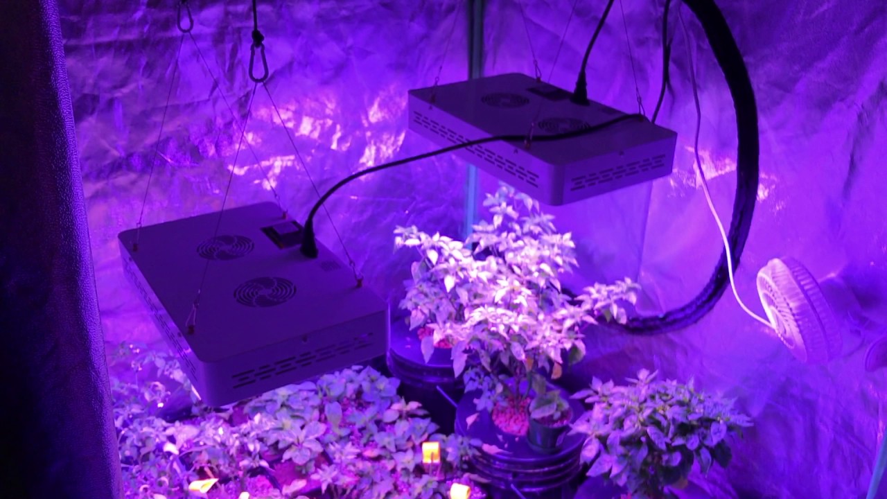 Mars Hydro 600W Grow Led Panel