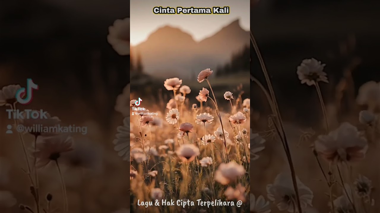 CINTA PERTAMA KALI - Song composed by w_kating. 