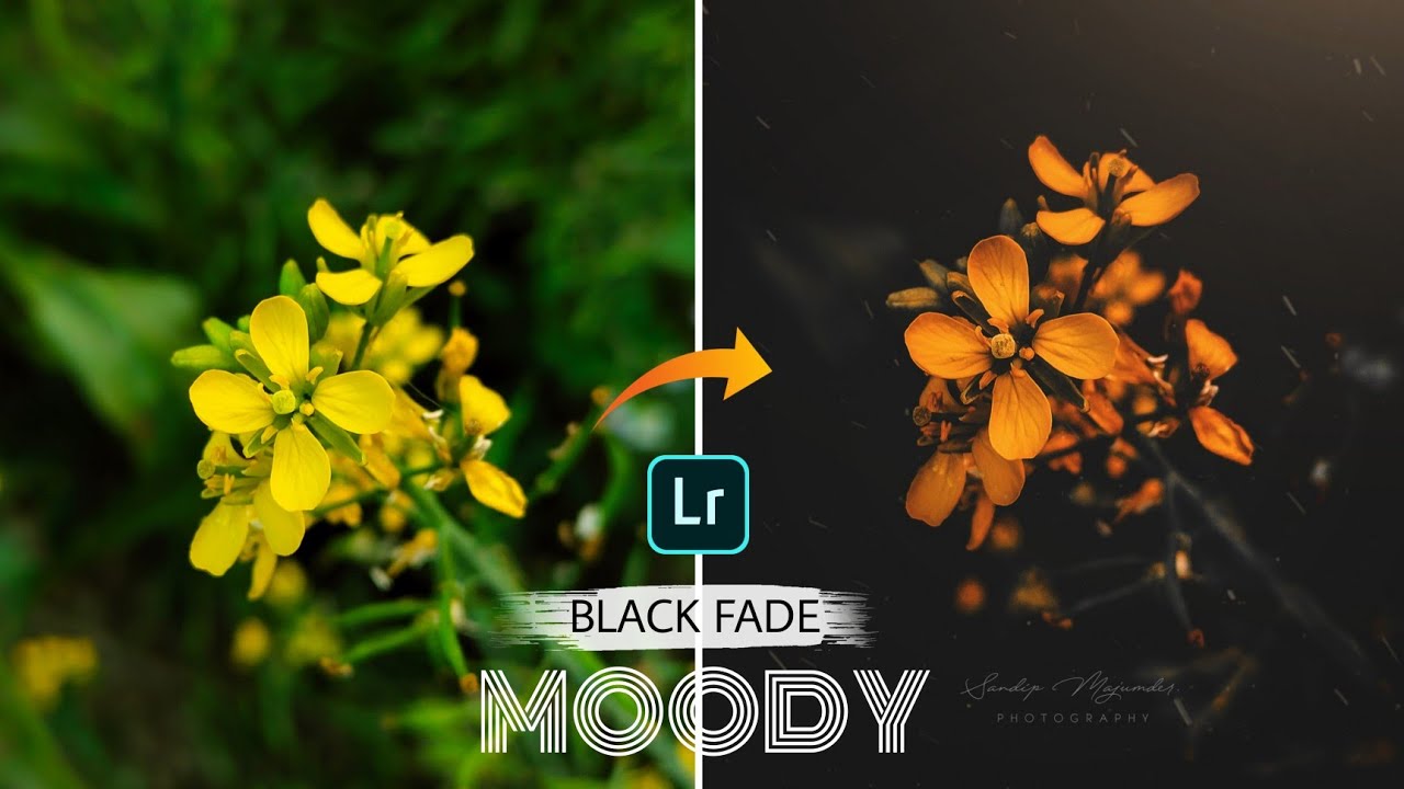 Lightroom Photo Editing Tutorial | Beautiful Flowers | Black Fade Moody