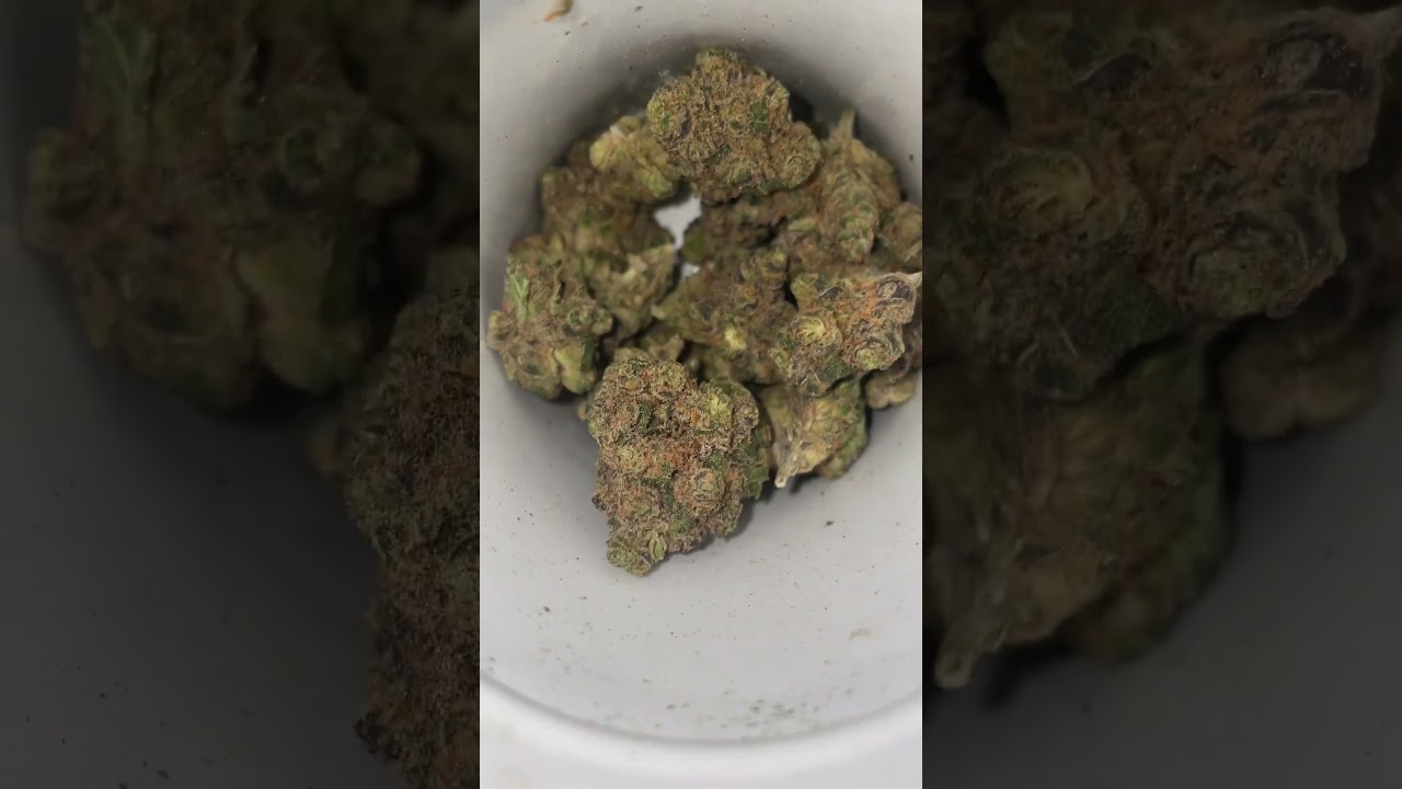 🇨🇦 Aurora pedanios ( Farm gas ⛽️🍁 T27 )