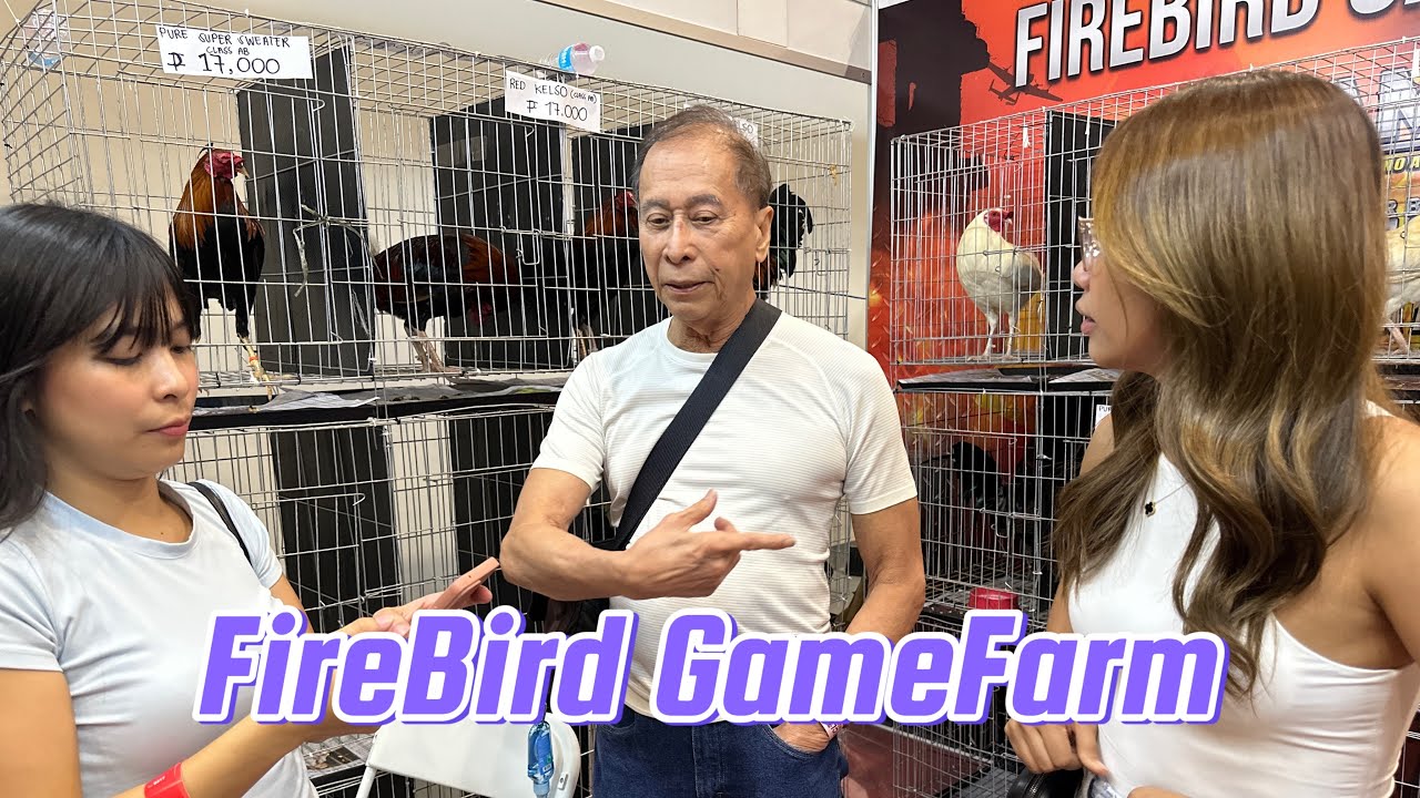 FireBird GameFarm @ Clark Hobby expo SMX convention center || Reggie boi