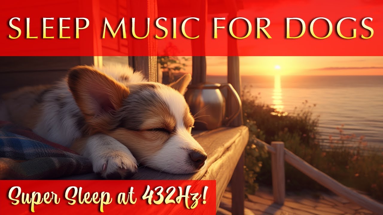 Dog Sleep Music for Deep Sleeping 🐶 Soft Music to Help Your Pup Sleep
