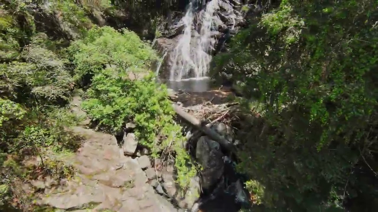 Bulga Falls November 2025