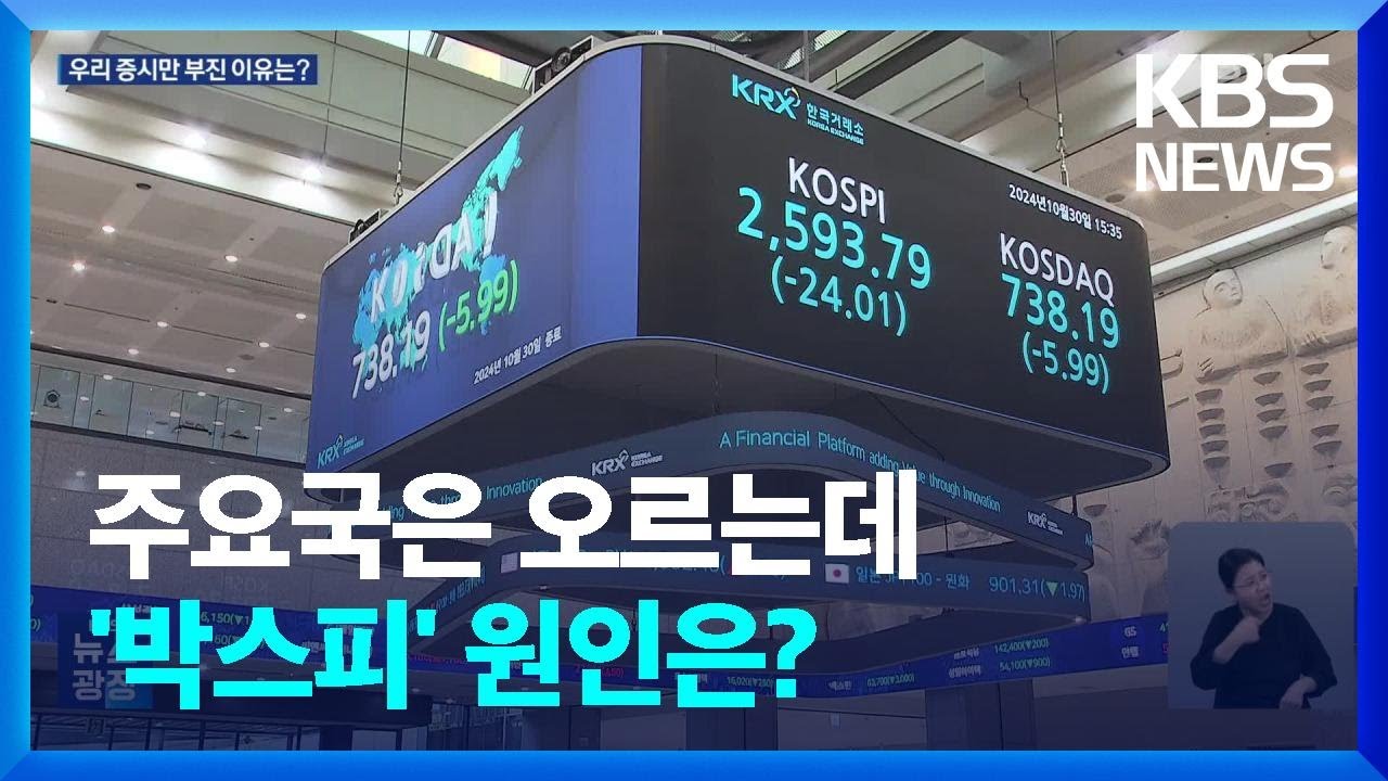 &lsquo;역성장&rsquo; 독일도 오르는데&hellip;&lsquo;박스피&rsquo; 원인은? / KBS  2024.10.31.