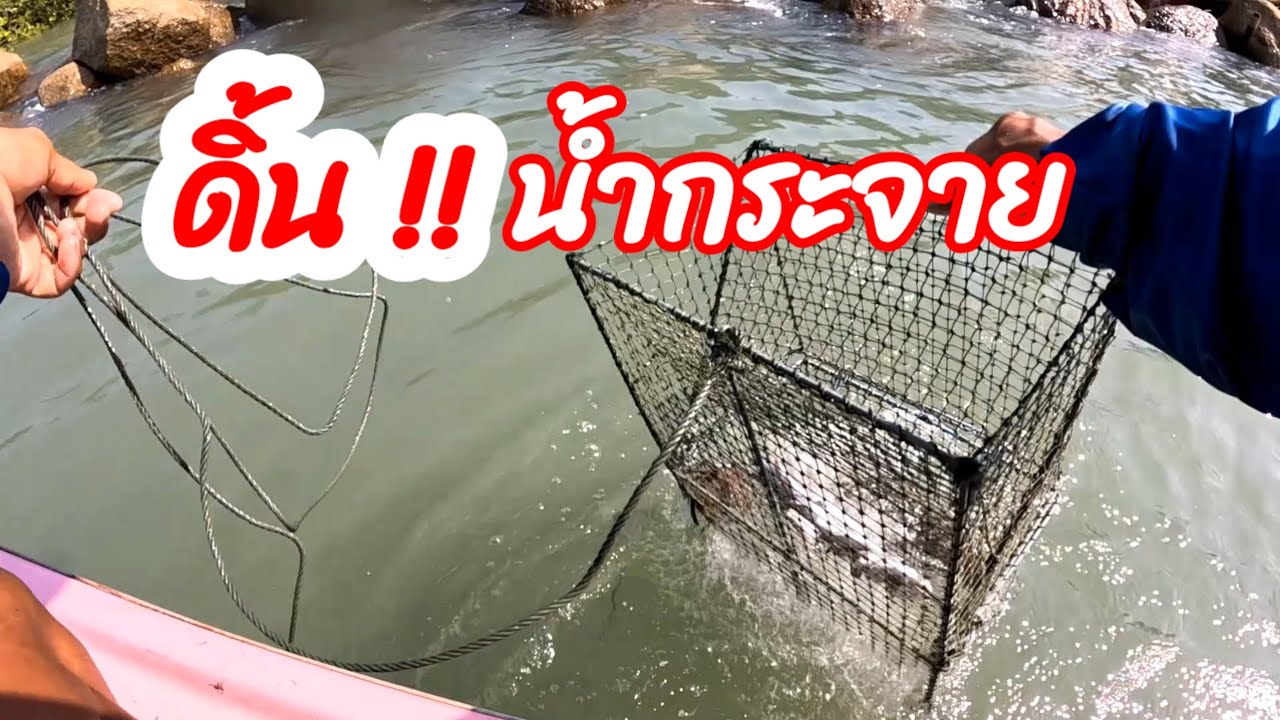 กู้ลอบดักปูทะเล🦀วันนี้จะกลับไปหาครอบครัว เอาลอบมาวางริมหลักไม้ไผ่และริมหิน ปูใบ้เข้าดีจริงๆ!!!EP.143