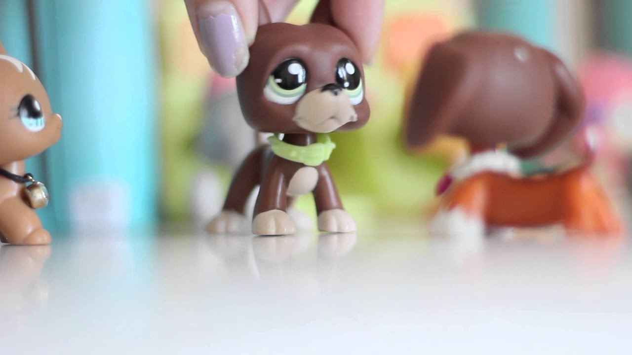 Littlest Pet Shop: Stardom Rivalry Episode #2 (Single and Ready to Mingle!)