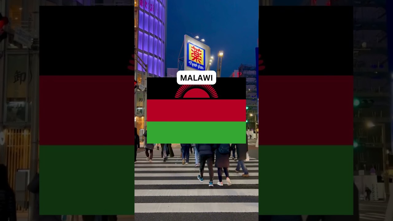 What Is The Population of MALAWI #malawi #population #citizen #country #europe #africa #america