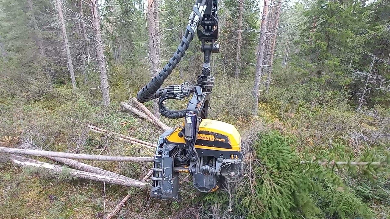 Hyvää harvennusta|Ponsse scorpion/h6
|Sahuri95|