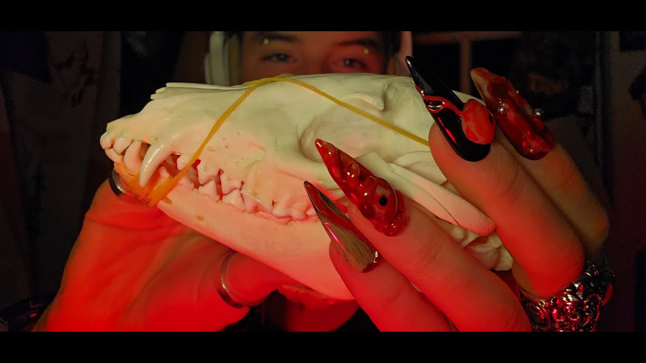 ASMR Bone Collection (whispers, tapping, scratching)