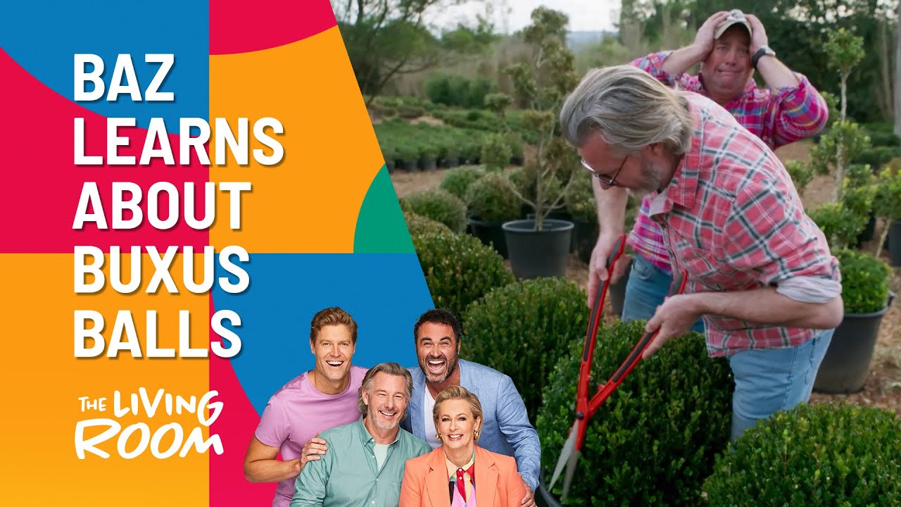 Learn About Buxus Balls With Jason Hodges And Baz | The Living Room | Channel 10