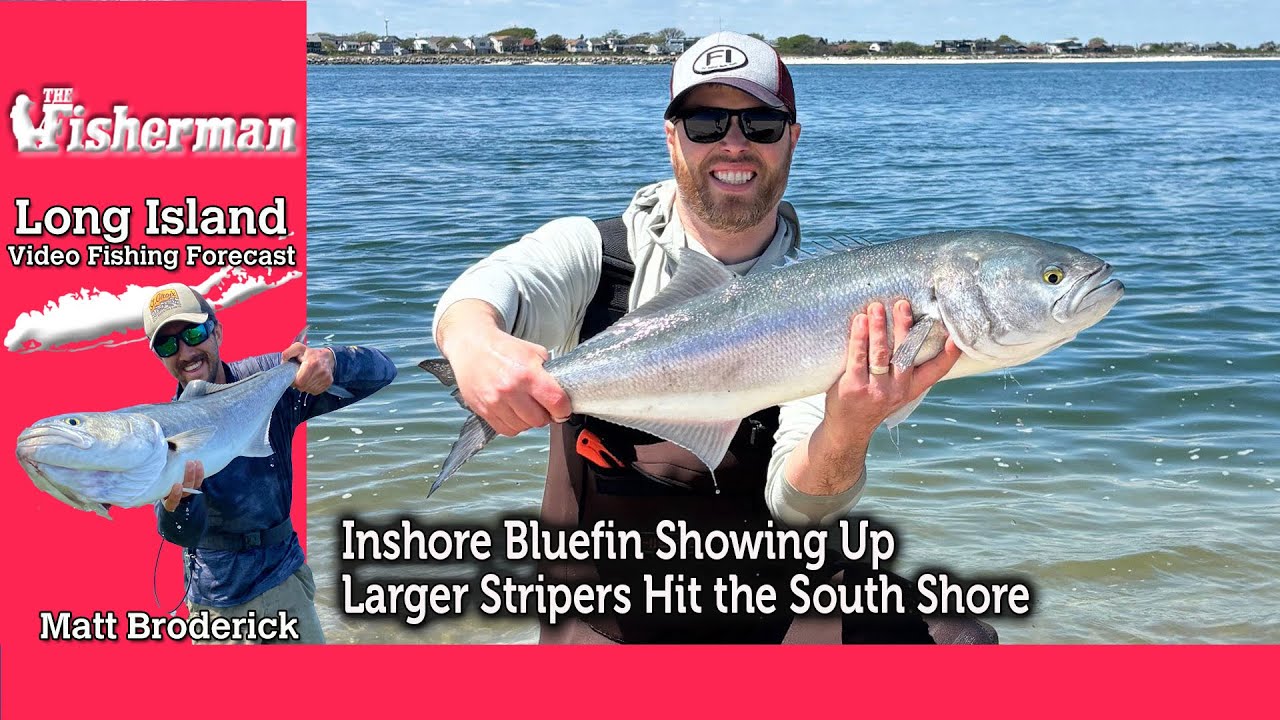 May 15th 2025 Long Island Metro Fishing Report with Matthew Broderick