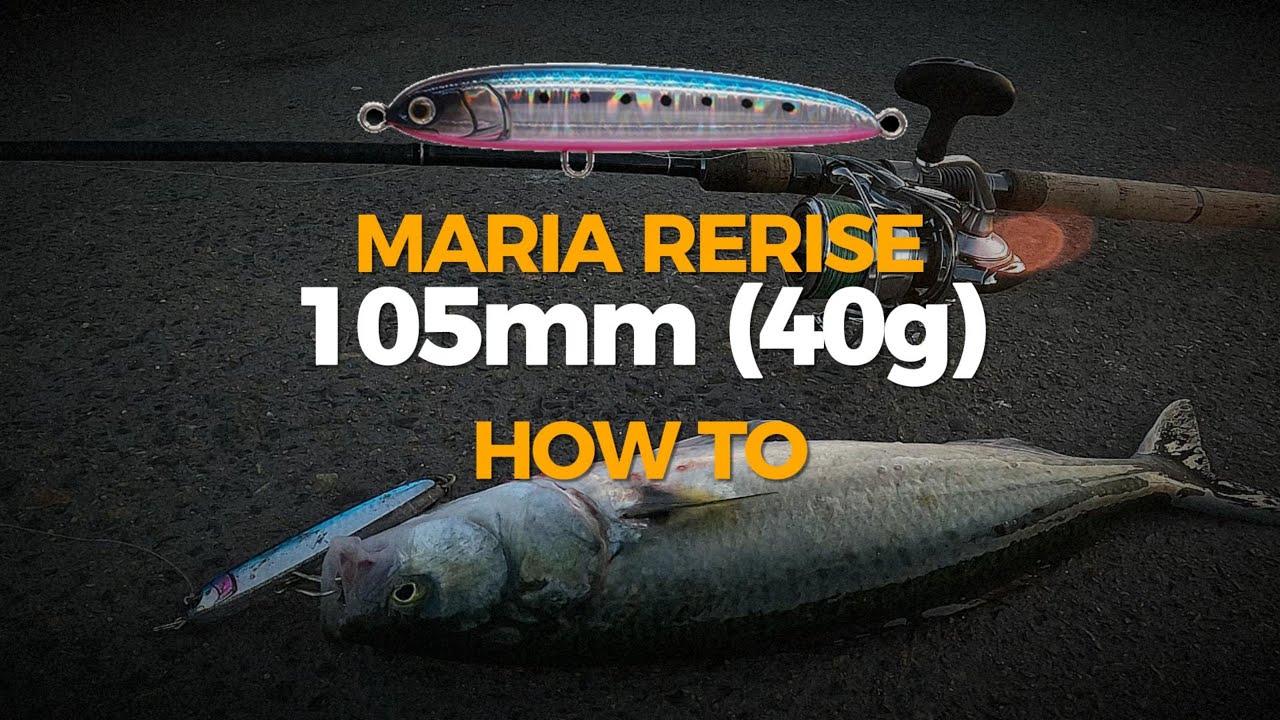 How to use Maria Rerise sinking stickbait