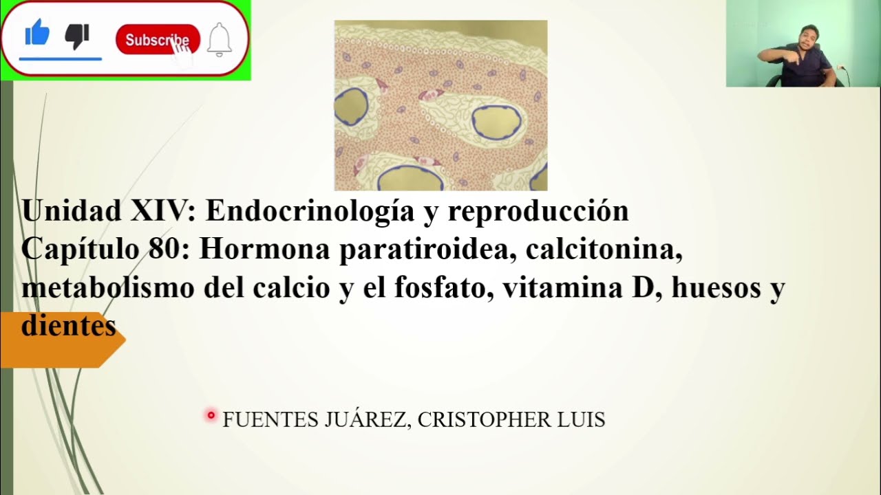 FISIOLOGÍA: HORMONA PARATIROIDEA, CALCITONINA, METABOLISMO DEL CALCIO y EL FOSFATO, VIT. D, HUESOS