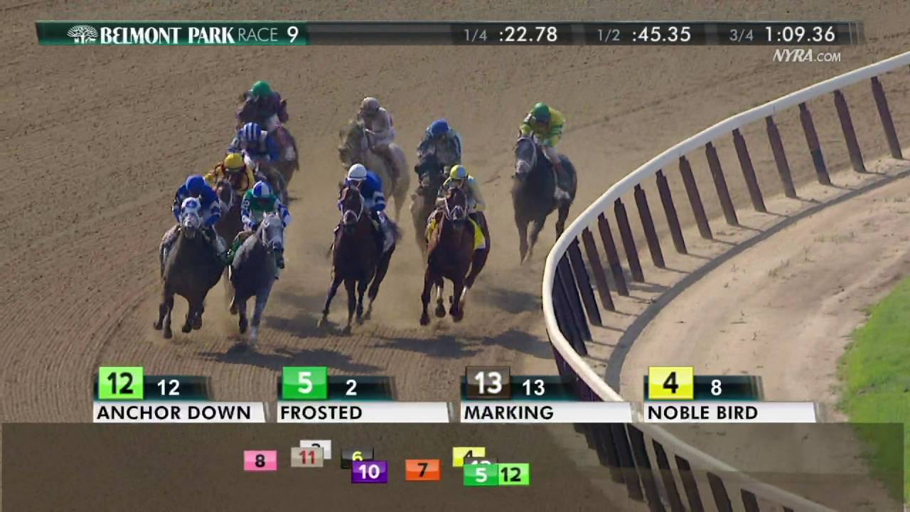 Frosted - 2016 Metropolitan Handicap