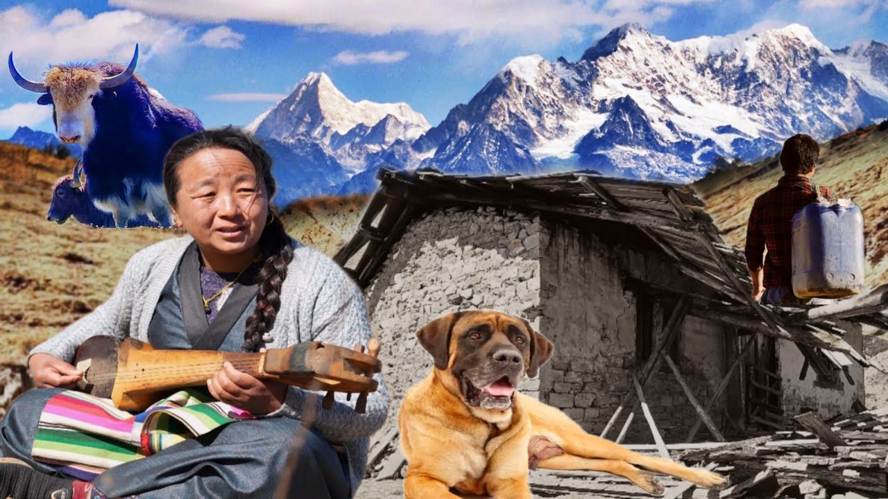Sherpa Life Eastern Solukhumbu Herders, Organic Food & Traditional Music || Eastern Rural Nepal ||
