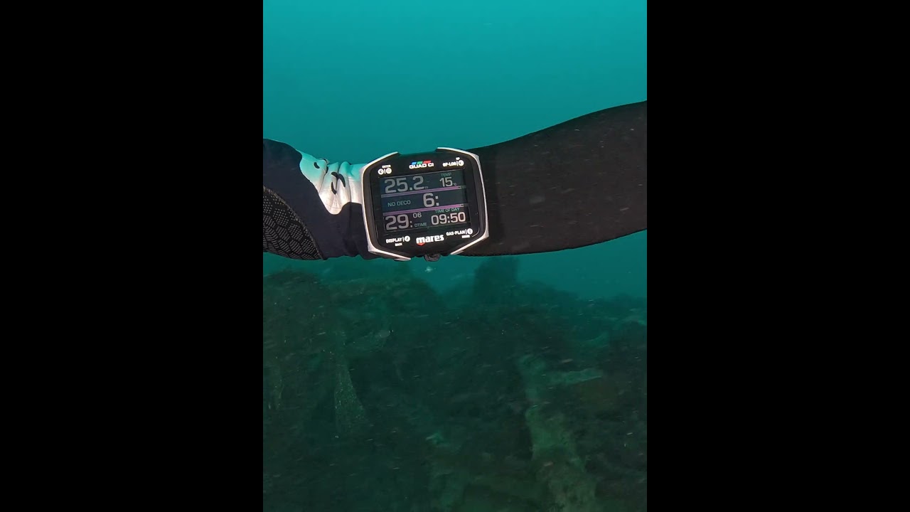 Mares Quad CI #SHORTS